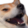 :doge: